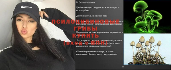 кокс Алзамай