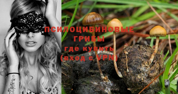 кокс Алзамай