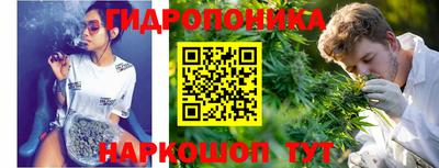 гашик Ипатово
