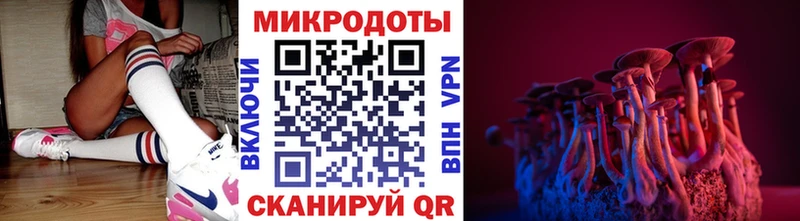 Псилоцибиновые грибы ЛСД  закладки  Новочебоксарск 