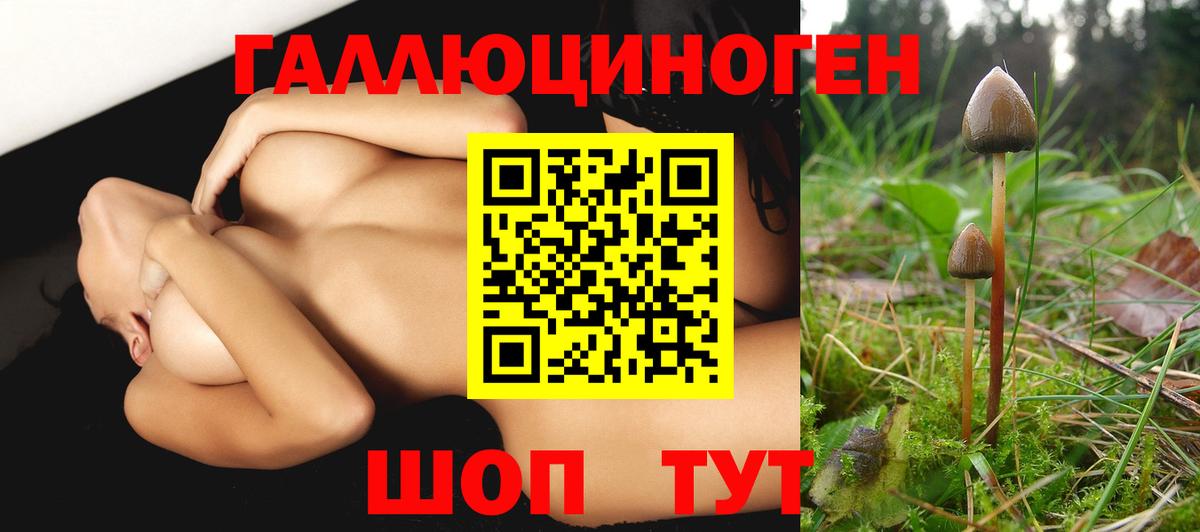 Новочебоксарск  Галлюциногенные грибы ЛСД  Вход с VPN  Галлюциногенные грибы GOLDEN TEACHER 